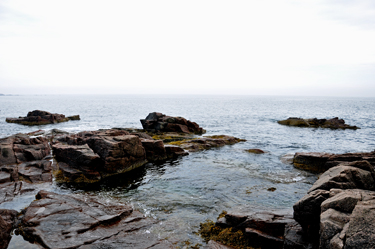 waters at Thunder Hole at Acadia National Park